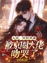 入夜,娇软乖乖被京圈大佬吻哭了 作者: 妖妖逃之